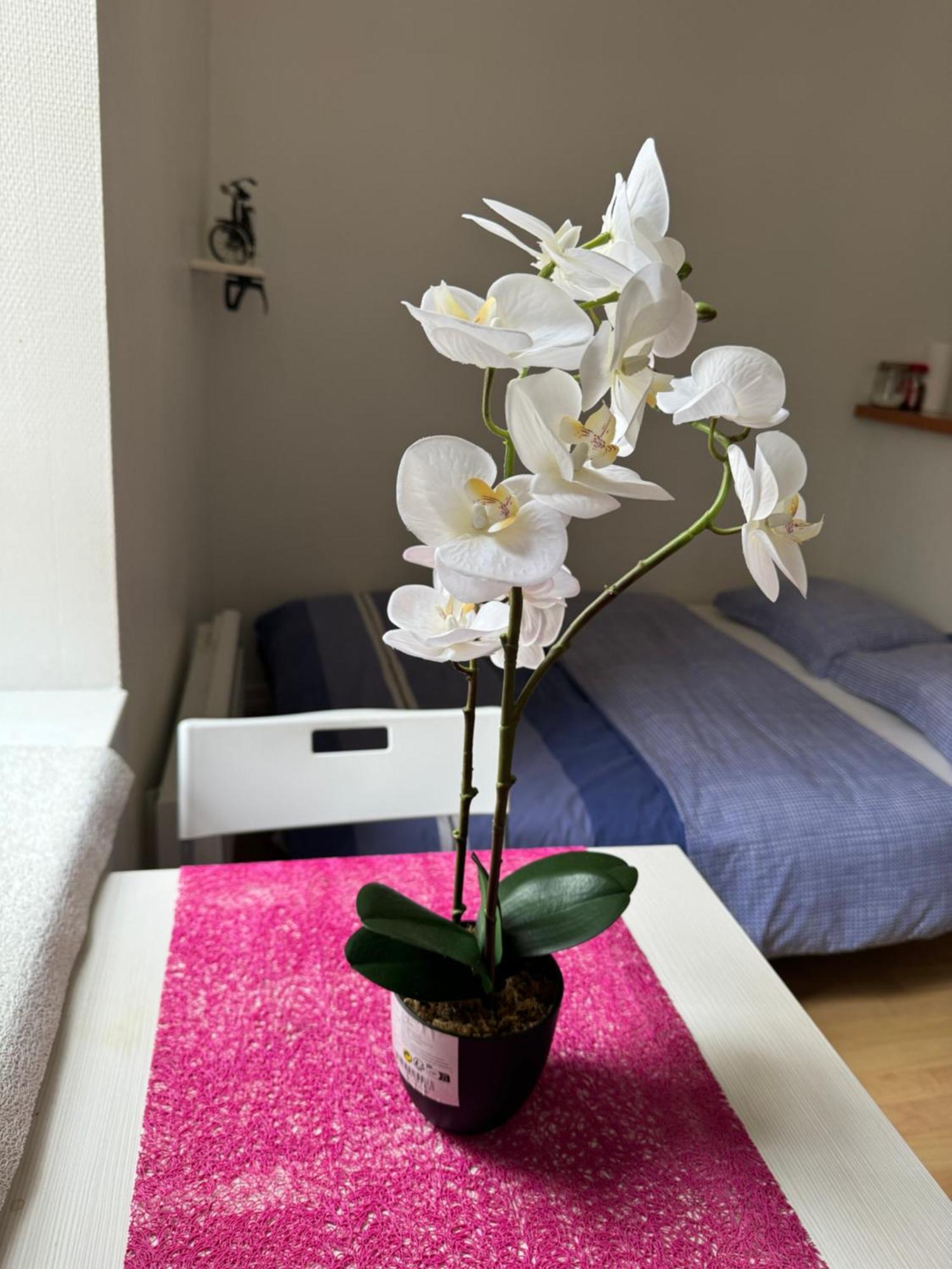 Appartement Studio, Hyper Centre La Rochelle